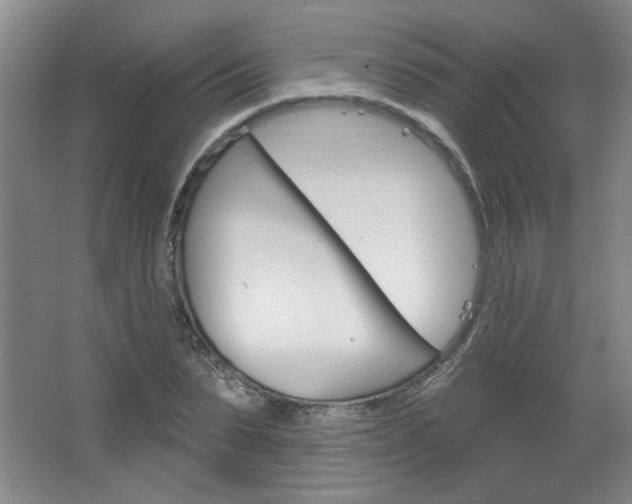 X0000064720879200602100929