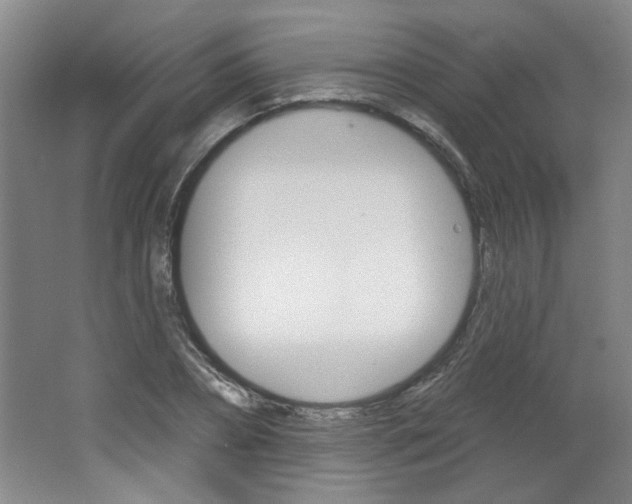 X0000064720882200602100929