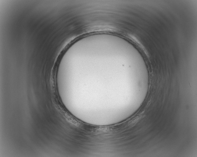 X0000064720883200602100929