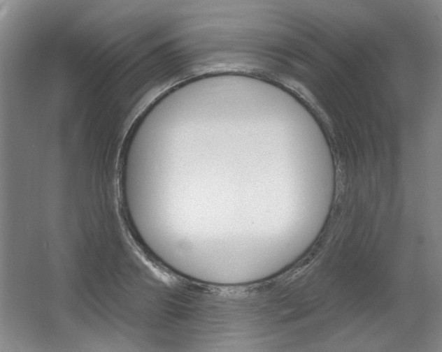 X0000064720890200602100929