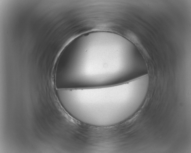 X0000064720908200602100928