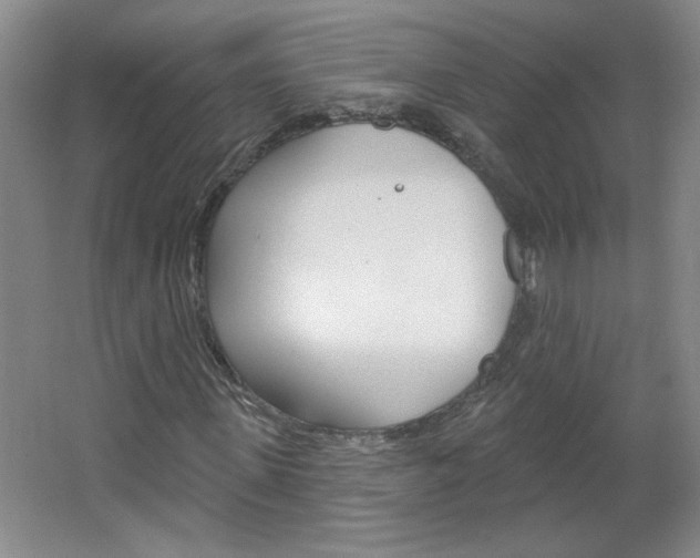X0000064720915200602100928