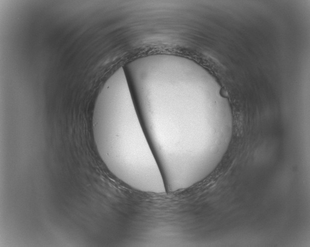 X0000064720917200602100928