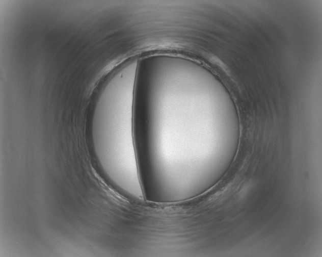 X0000064720922200602100928