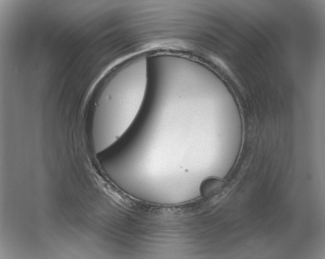 X0000064720923200602100928