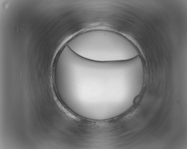 X0000064720941200602100928
