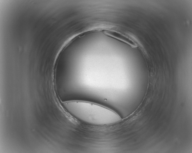 X0000064720948200602100928
