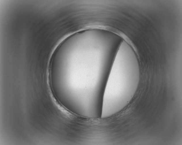 X0000064720955200602100928