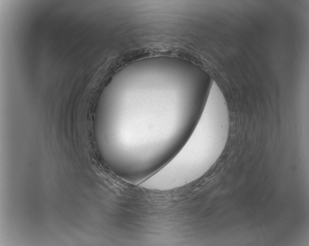 X0000064720961200602100928
