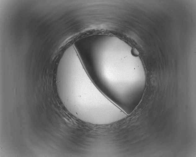 X0000064720968200602100927