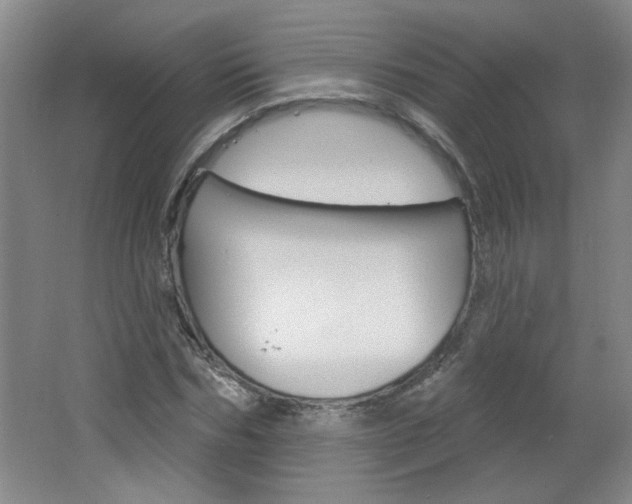 X0000064720970200602100927