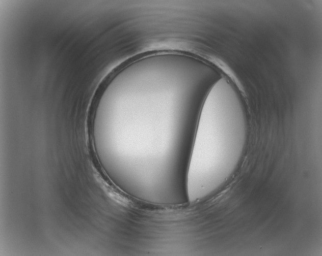 X0000064720980200602100927