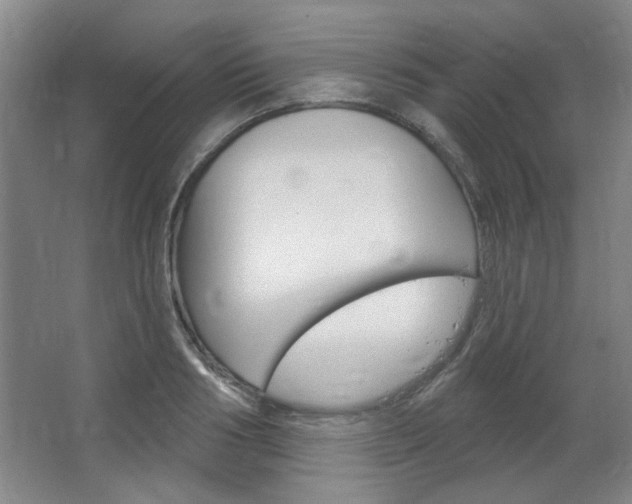 X0000064720986200602100927
