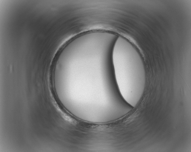 X0000064720991200602100927