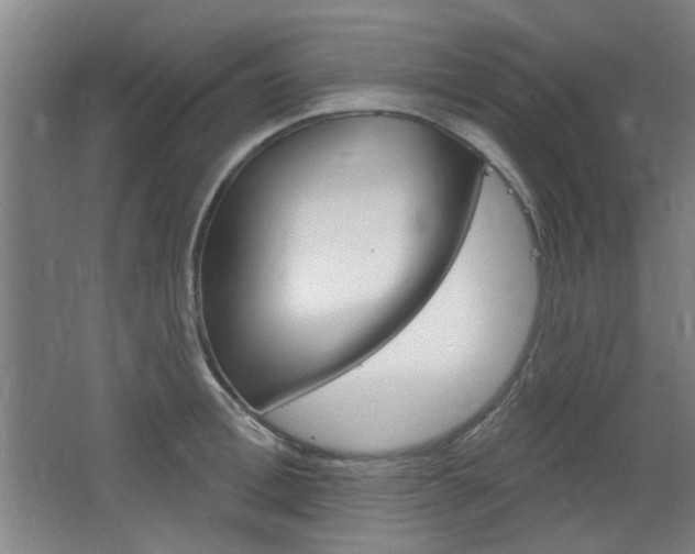 X0000064720996200602100927