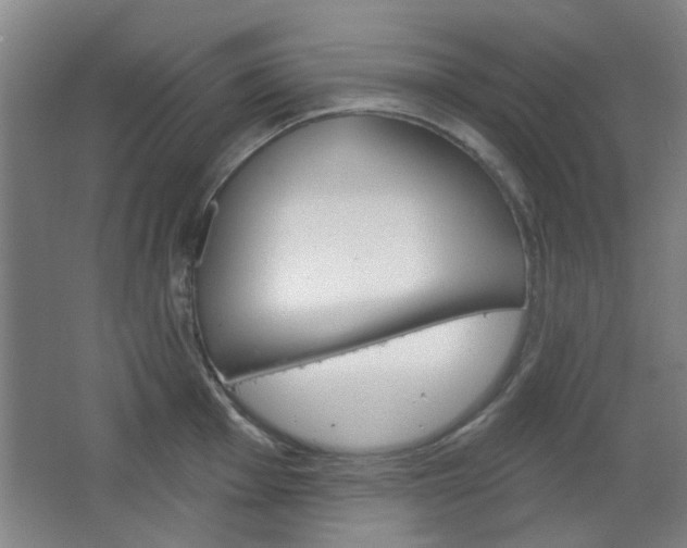 X0000064721001200602100927