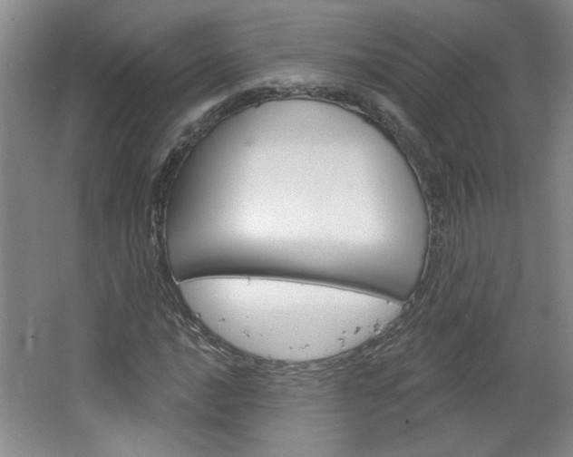 X0000064721016200602100926