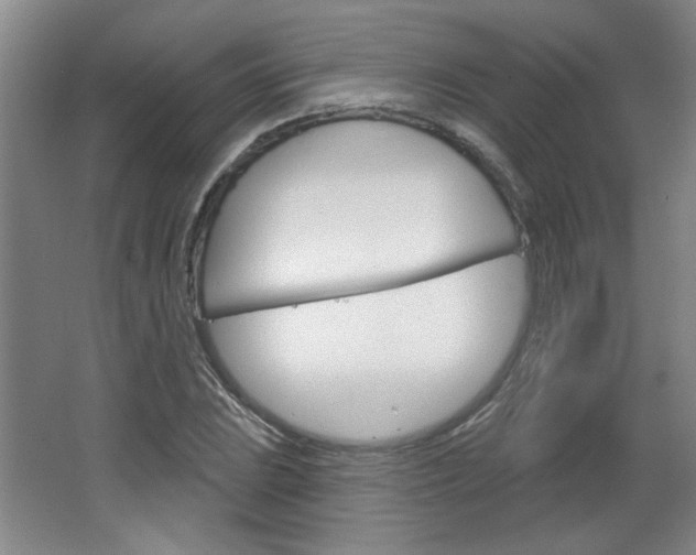 X0000064721023200602100926