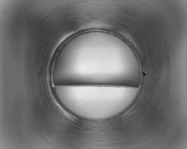 X0000064721024200602100926