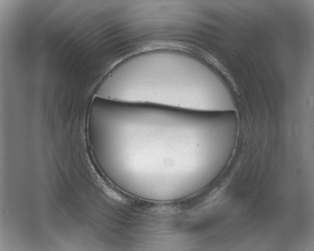 X0000064721033200602100926