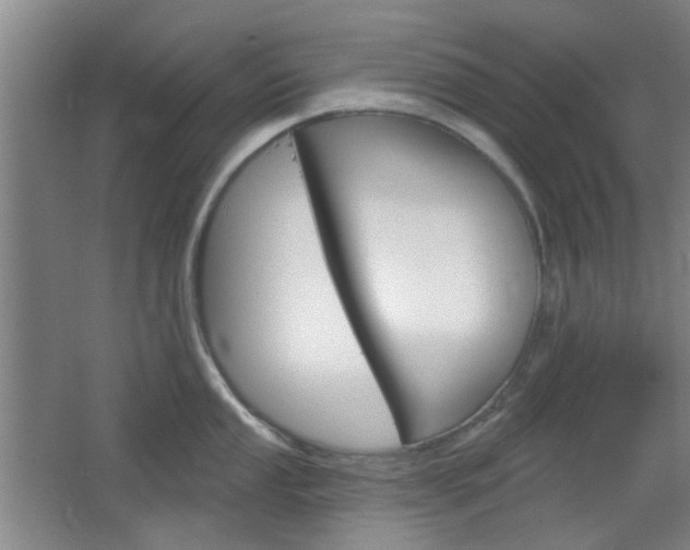 X0000064721053200602100927