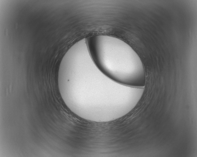 X0000064721058200602100926