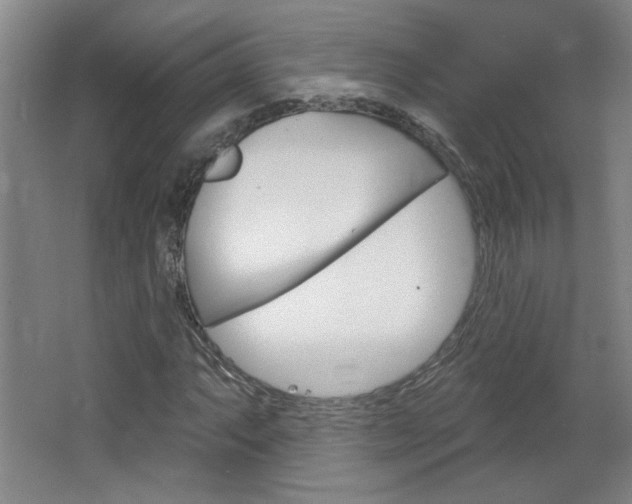 X0000064721063200602100926
