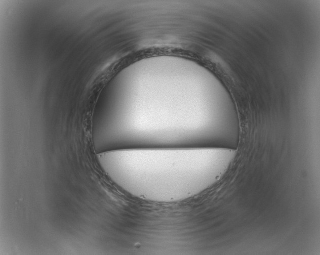 X0000064721064200602100926