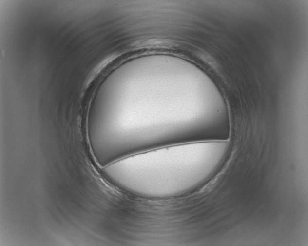 X0000064721066200602100926