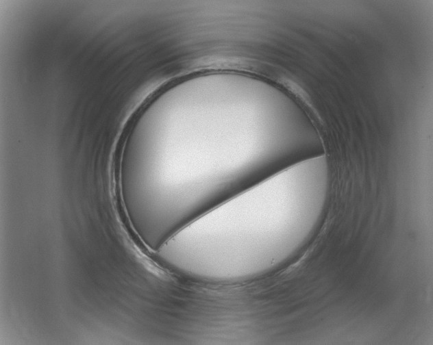 X0000064721082200602100926