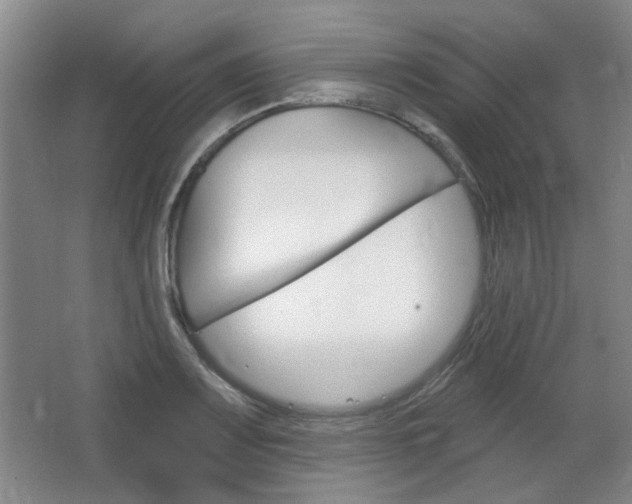 X0000064721083200602100926