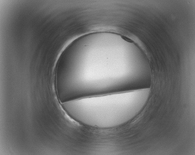 X0000064721102200602100925