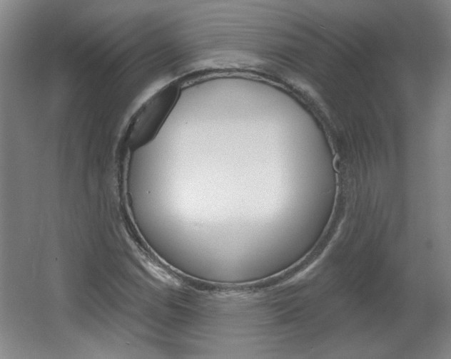 X0000064721114200602100925