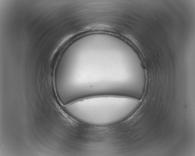 X0000064721115200602100925