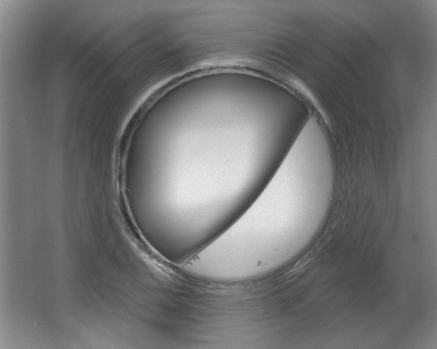 X0000064721124200602100925