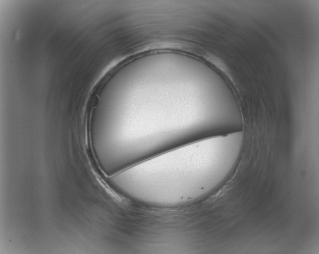 X0000064721127200602100925