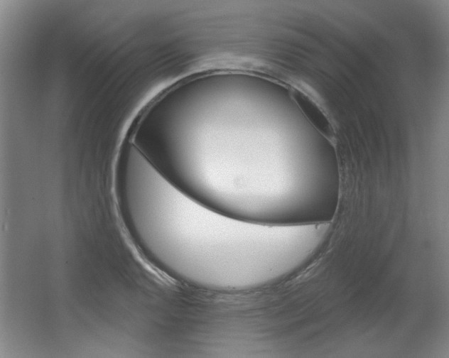 X0000064721128200602100925