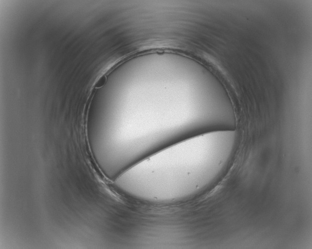 X0000064721129200602100925