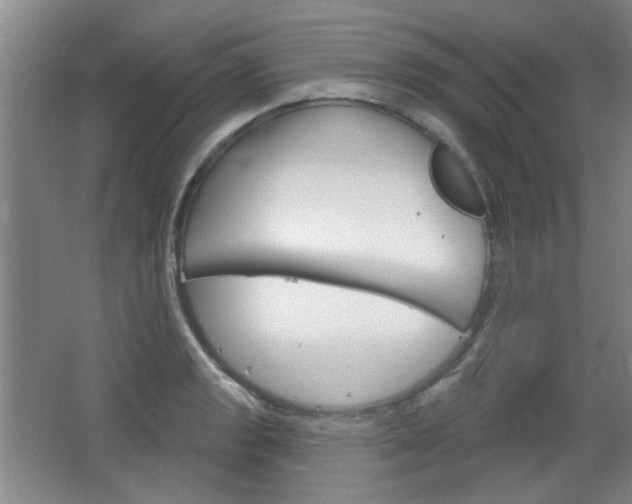 X0000064721133200602100925