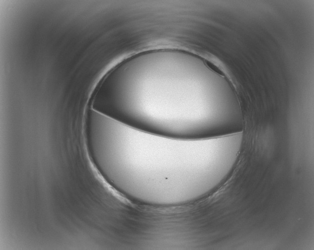 X0000064721142200602100925