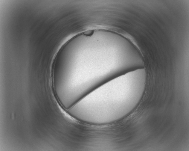 X0000064721143200602100925