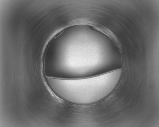 X0000064721144200602100925