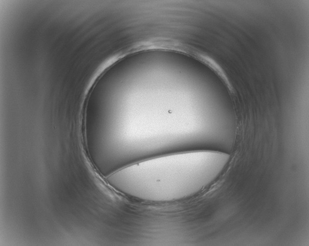 X0000064721146200602100925