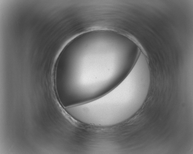 X0000064721148200602100925