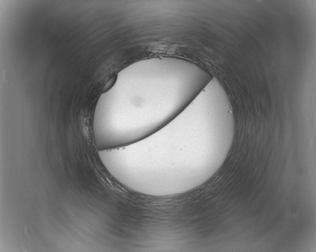 X0000064721154200602100924