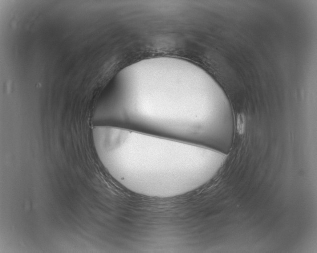 X0000064721155200602100924