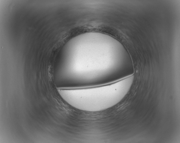 X0000064721156200602100924