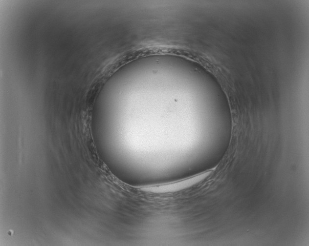 X0000064721157200602100924