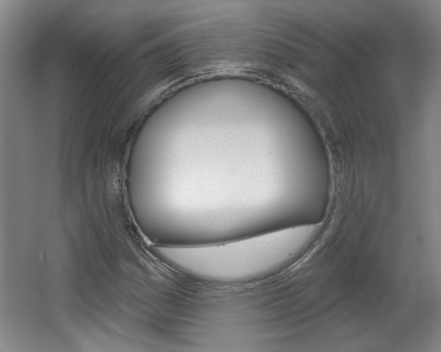 X0000064721161200602100924