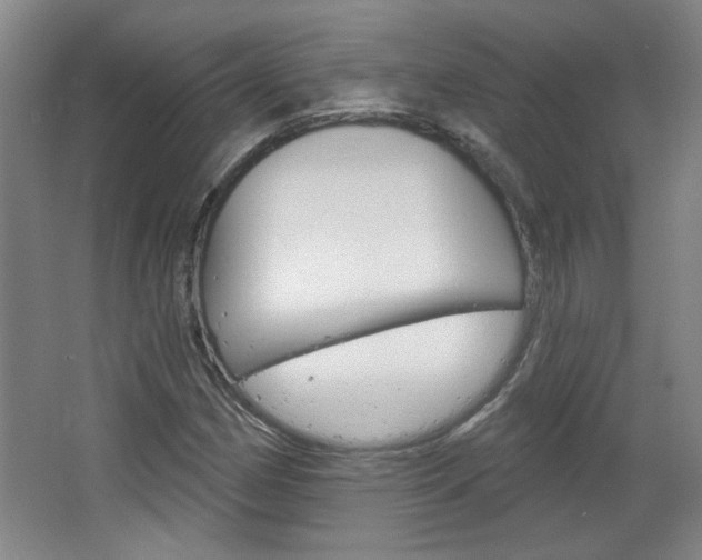 X0000064721162200602100924